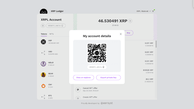 Screenshot for XRP Ledger